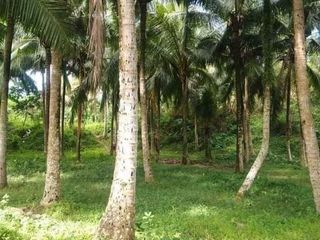 2.8 Hectares Agricultural Lot for Sale in San Pablo, Laguna