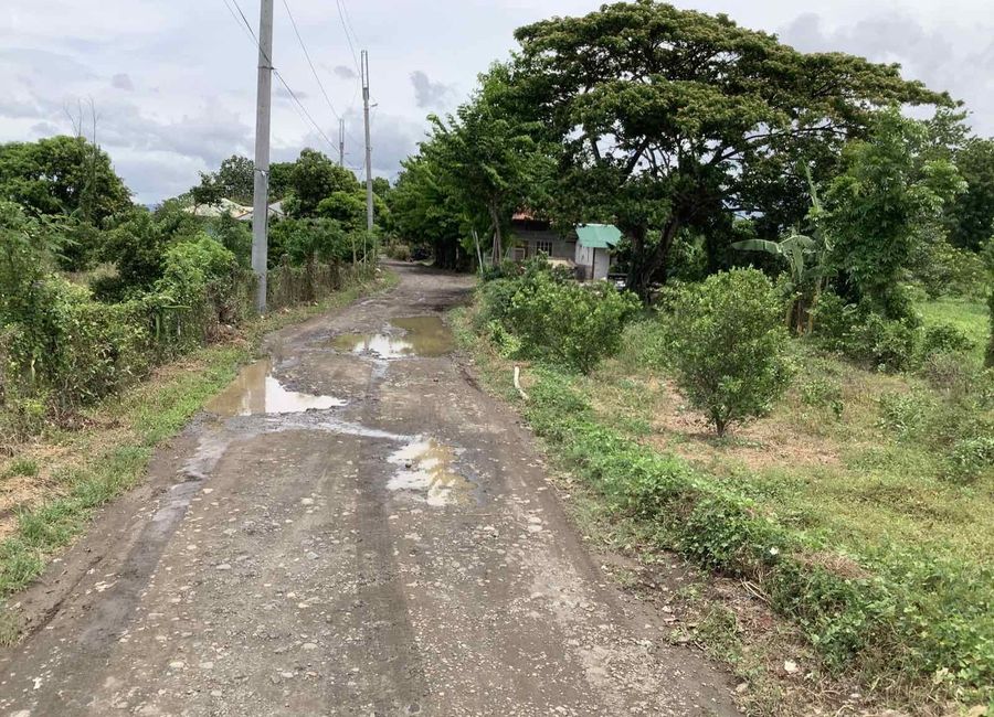 Tagbakin, Tiaong, 2nd District, Quezon image 2