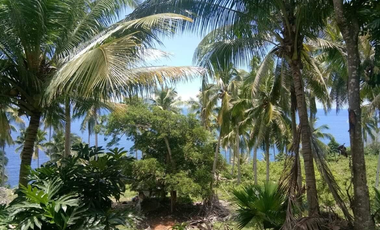 150 sqm Beachfront for sale in Kaputian, Samal, Davao