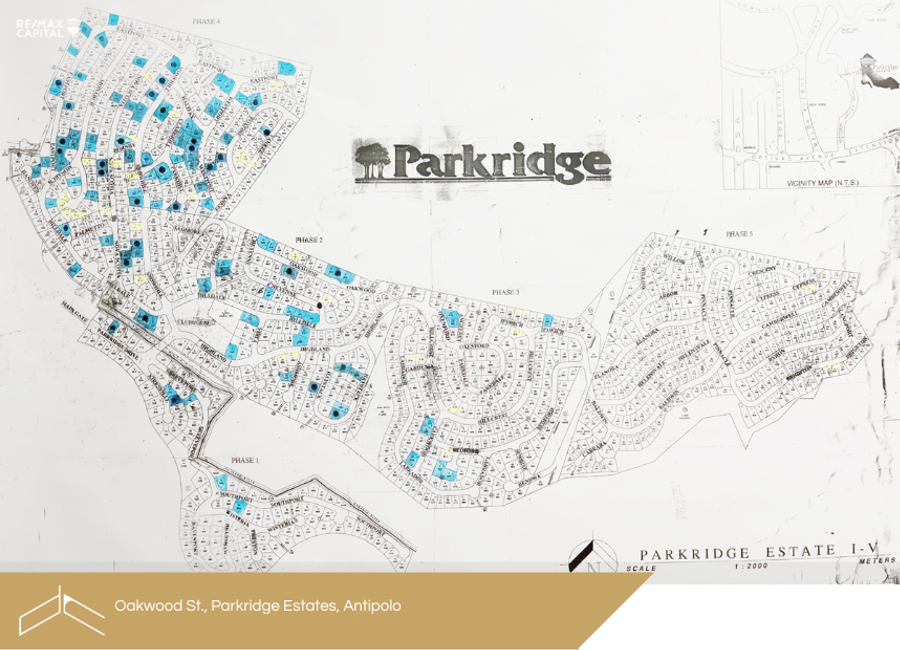 Parkridge Drive, Park Ridge, Santa Cruz, Antipolo, Rizal image 2