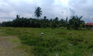 Lot for Sale in Gloria, Oriental Mindoro 2,914 SQM  | with View of Sibali Island