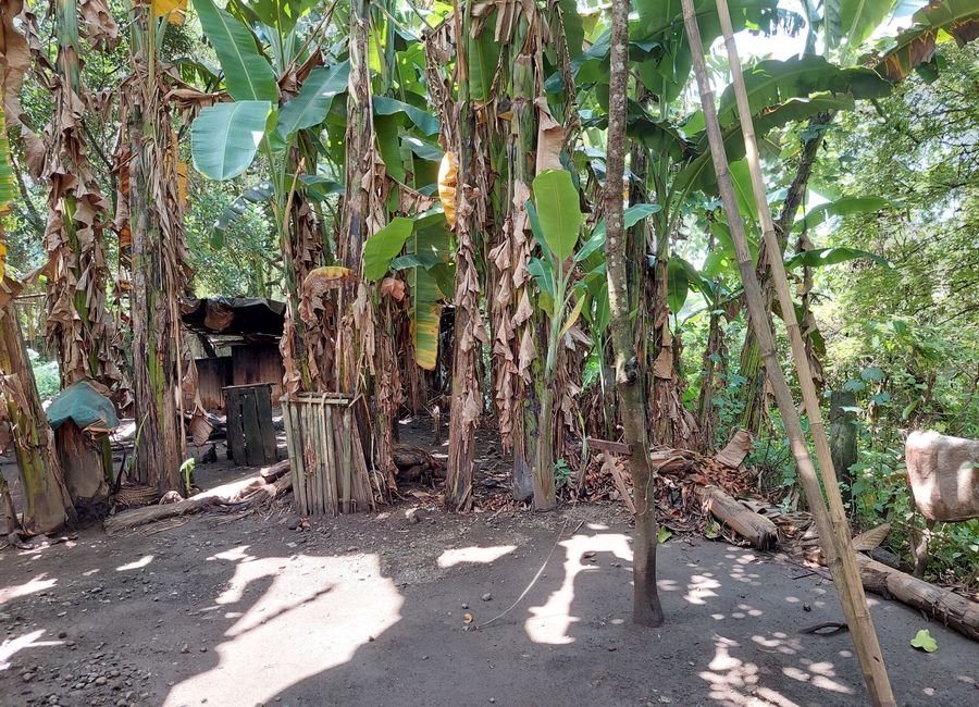 National Highway, Labac Hills, Quinale, Ibaba del Sur, Paete, Laguna image 3