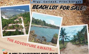 Beach Lot - Siargao Surfview Estate