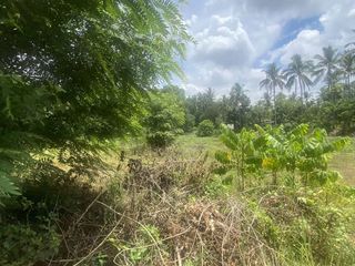 FOR SALE Lot in Lipa, Batangas near mabini, ibaan, and bolbok 10,102 sq.m wide frontage