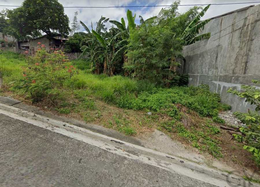 San Roque, Antipolo, Rizal image 3