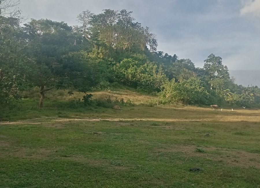 Ambulong, Maugat, Tanauan, Batangas image 3
