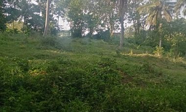 Farm lot for sale good for housing, warehouse and industrial, Tanauan