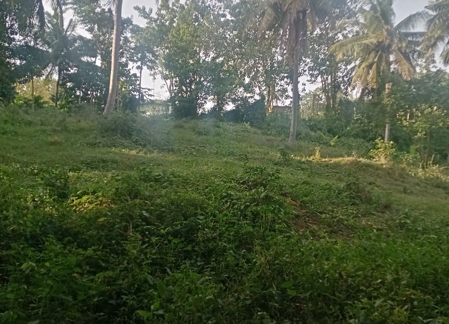 Ambulong, Maugat, Tanauan, Batangas