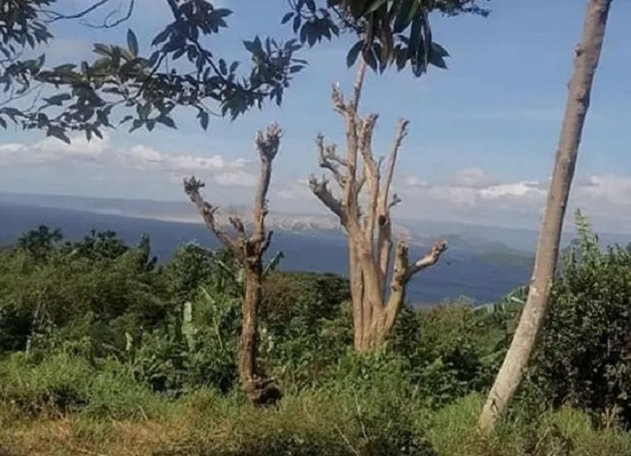 Lipa, Batangas image 2
