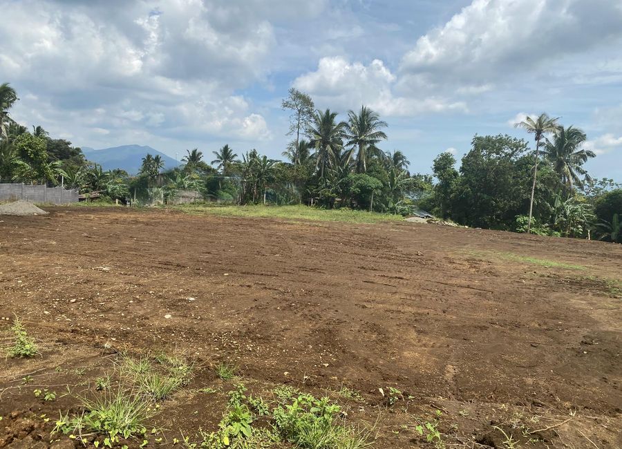 Nagcarlan-Calumpang Road, Santa Lucia, Nagcarlan, Laguna image 3