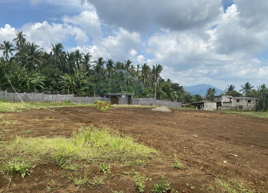 Nagcarlan-Calumpang Road, Santa Lucia, Nagcarlan, Laguna image 2