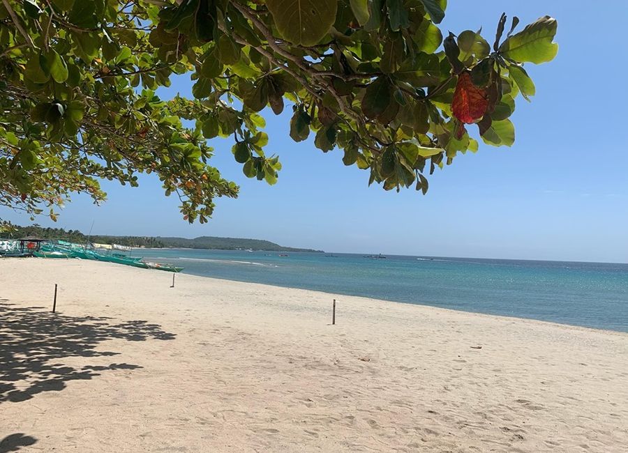 Laiya-Aplaya, San Juan, Batangas