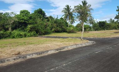 Foreclosed Property - 157 sq.m. & 153 sq.m. in MetroGate, Alulod, Indang, Cavite