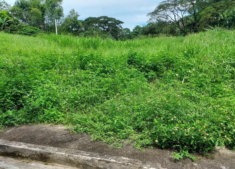 Village East 3, San Roque, Angono, Rizal