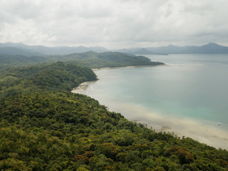 Good Investment: 21.5 Hectare Property in El Nido Palawan for Sale