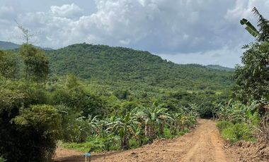 Farm - Residential Lot for Sale in Maragondon Cavite with Mountain View
