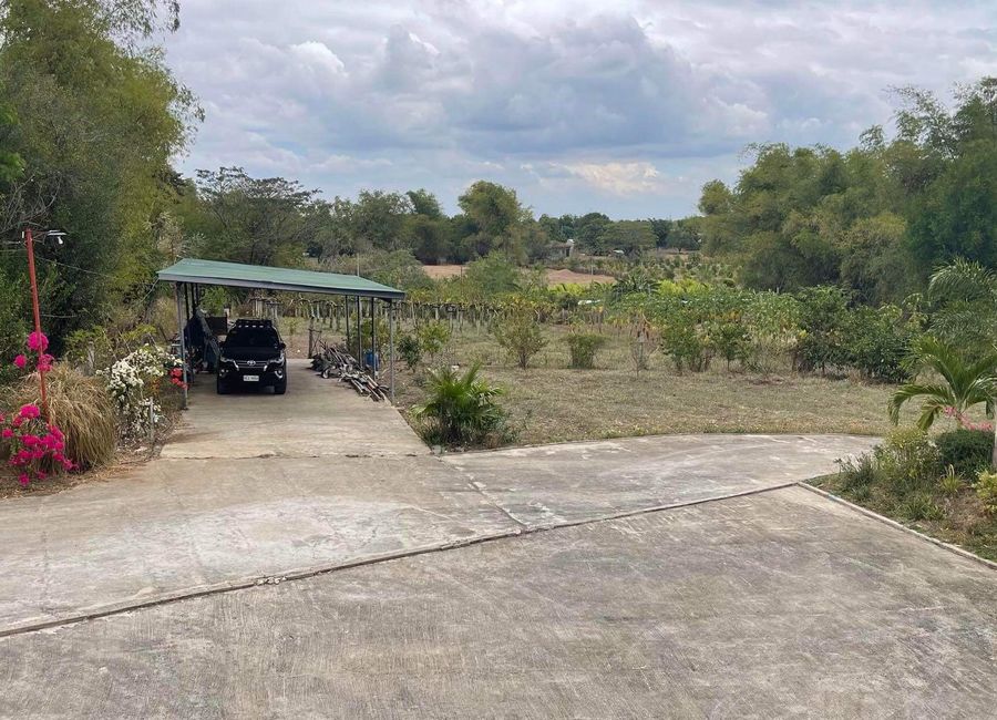 1.5 Has Farm For Sale With Newly Built Structures RFO Bilad Camiling ...