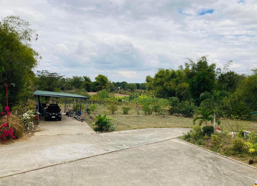 1.5 Has Farm For Sale With Newly Built Structures RFO Bilad Camiling ...