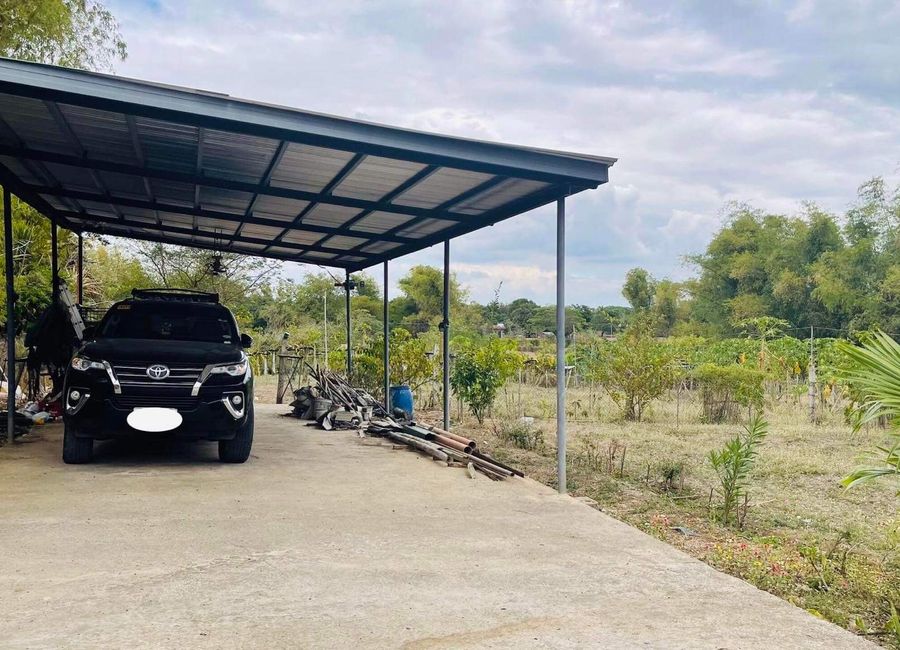 1.5 Has Farm For Sale With Newly Built Structures RFO Bilad Camiling ...