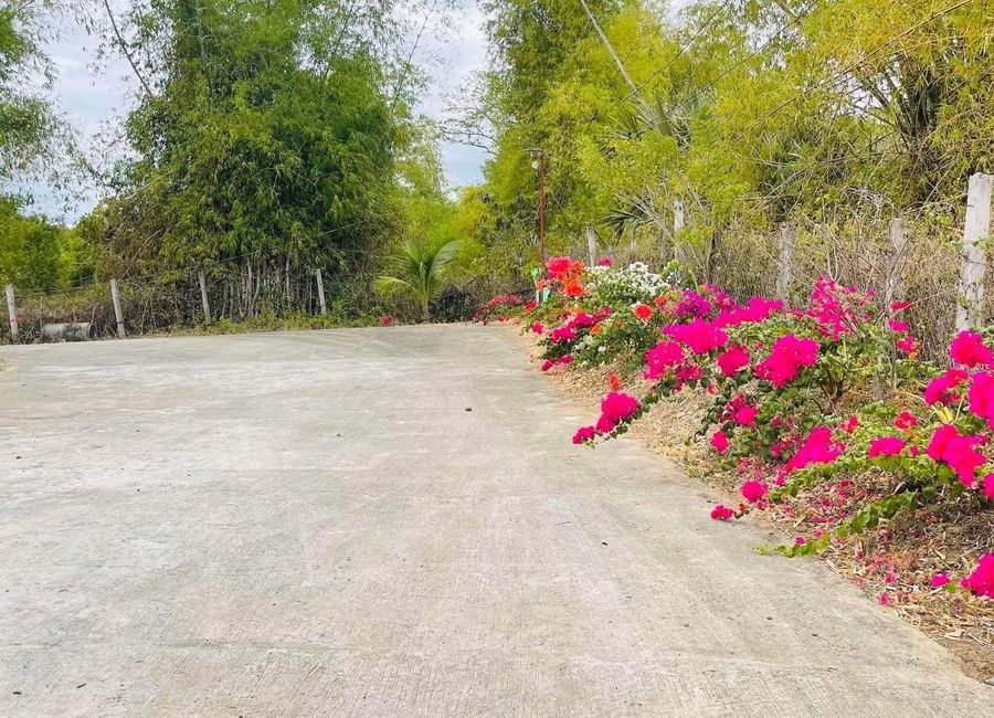 1.5 Has Farm For Sale With Newly Built Structures RFO Bilad Camiling ...