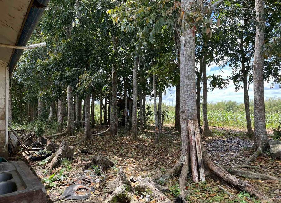 Pag-asa, Taysan, Batangas image 2