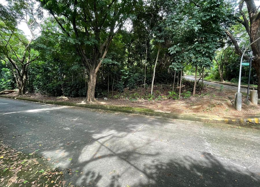Kent Street, Town & Country Estates, Santa Cruz, Antipolo, Rizal