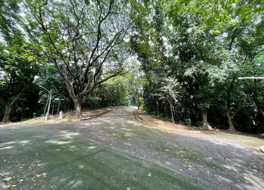 Kent Street, Town & Country Estates, Santa Cruz, Antipolo, Rizal image 2