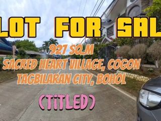 Residential Lot For Sale (along the road) at Cogon, Tagbilaran City