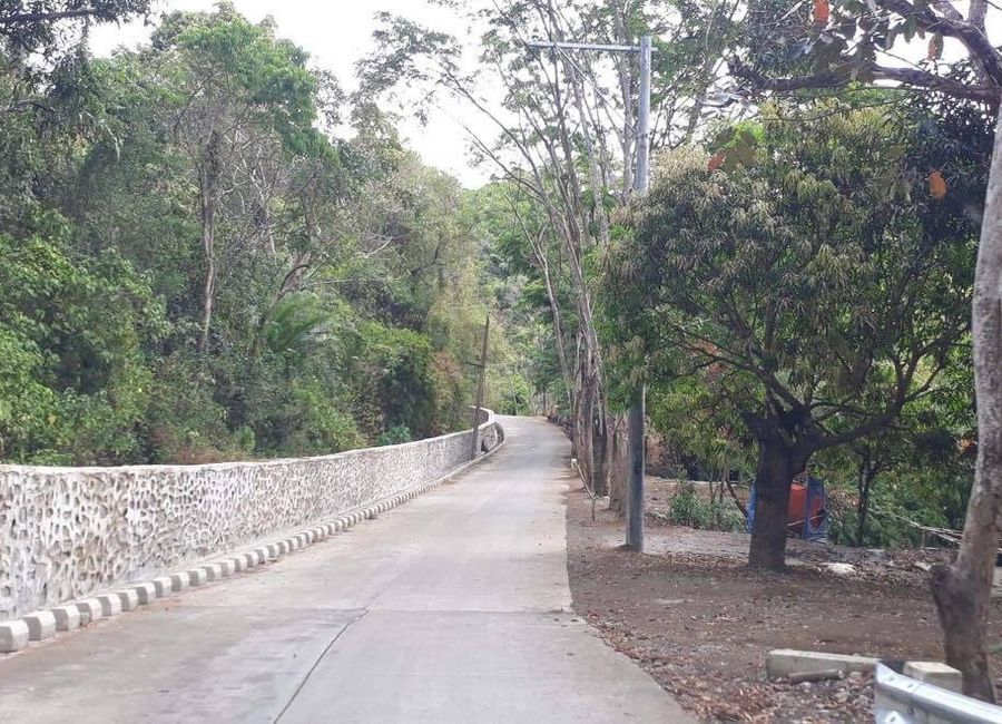 Titan Cement Corporation, Tanay, Rizal image 2