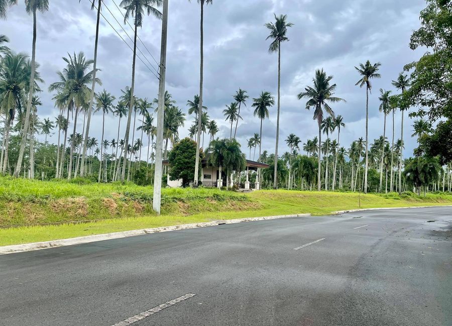 Bulakin, Tiaong, 2nd District, Quezon image 3