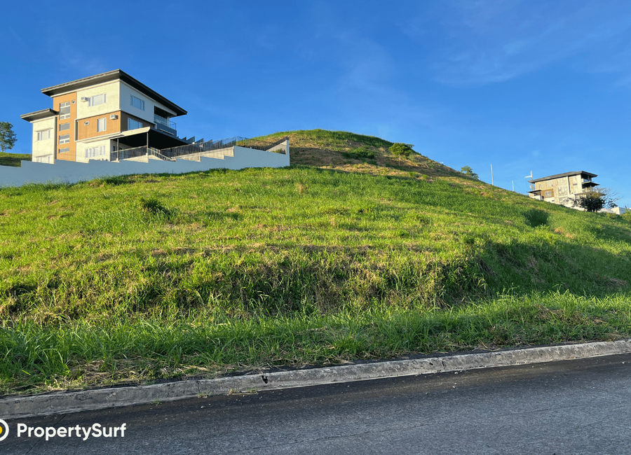 Forest Hills Avenue, Lower Tulakin, Bagong Nayon, Antipolo, Rizal image 3
