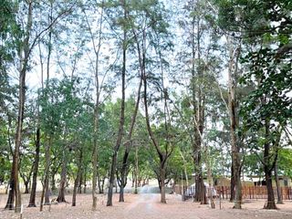 Beach Lot in Crystal Beach, San Narciso, Zambales