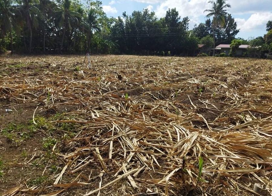 Talon, Tuy, Batangas image 3