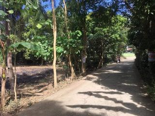 Prime Agri-Tourism Lot in Tuy, Batangas – 2,800 SQM of Endless Potential!