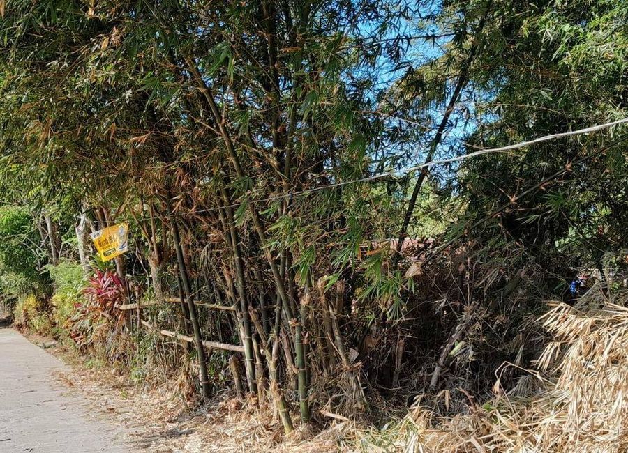 San Antonio, Mabitac, Laguna image 3
