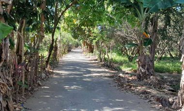 Farm Lot for Sale in Mabitac, Laguna