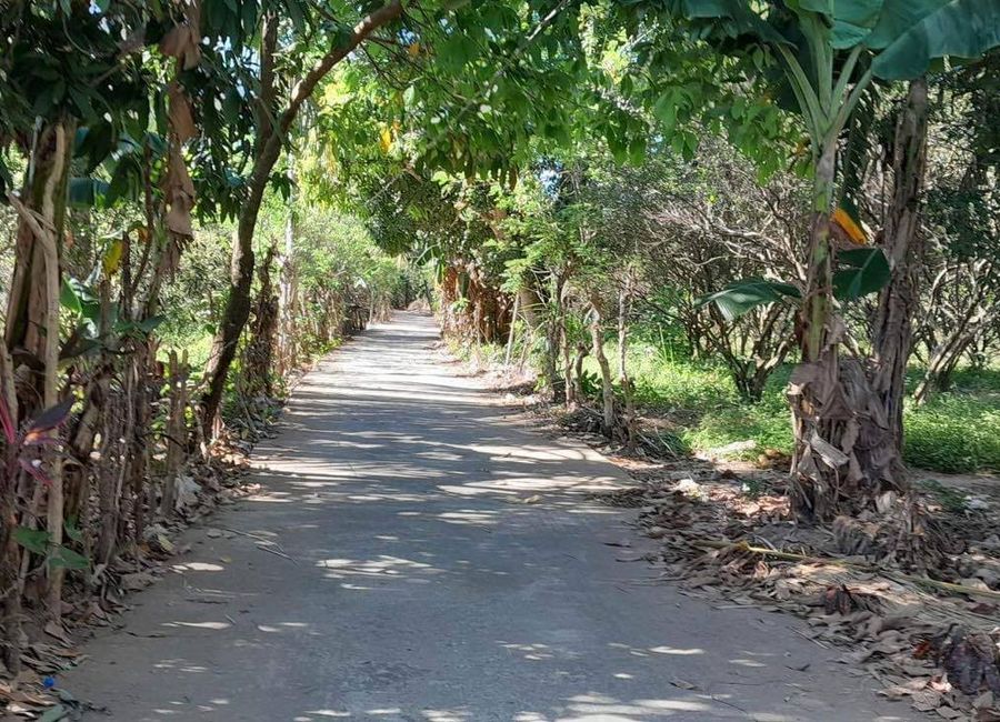San Antonio, Mabitac, Laguna