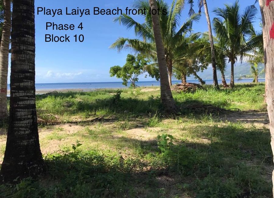 place photo 23