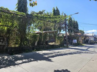 Commercial Lot in Onate De Leon Mandurriao, Iloilo for Sale Near Public Market
