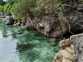 560sqm beach lot clean title lot cliff beach type in Biking Dauis Panglao Bohol