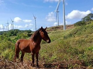Pinaka murang farmlot s rizal na may magandang view in 5yrs to pay!