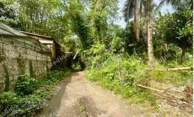 Agricultural Land for Sale in Barangay San Vicente near Biluso Silang Cavite