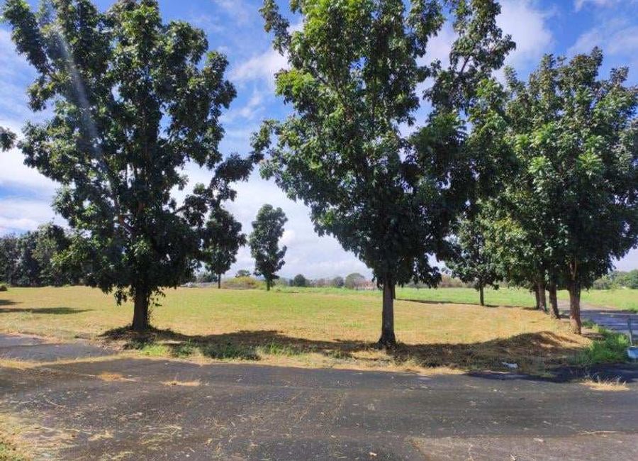 Southern Plains, Canlubang, Calamba, Laguna image 3