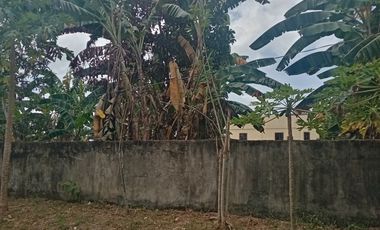 Semi Develop Overlooking Taal Farm Lot For Sale in Talisay, Batangas