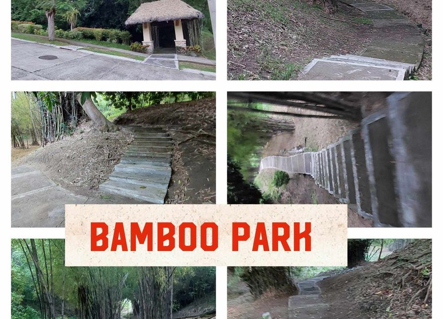 place photo 21
