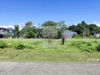 BF Homes Paranaque Residential Lot for Sale