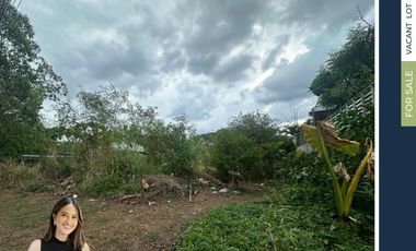 For Sale 2,692 sqm Vacant Lot in La Vista Subdivision, QC