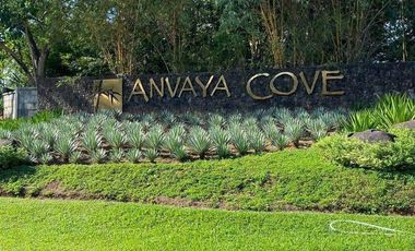 ANVAYA COVE PARKWAY VISTAS