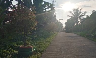 For sale: Overlooking farm along cemented road