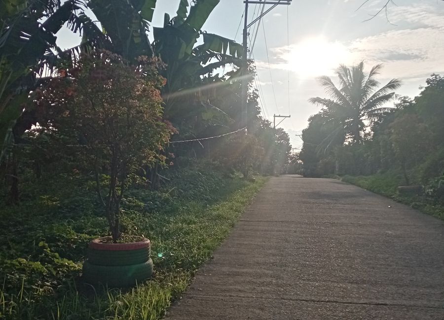 Banjo Laurel, Tanauan, Batangas
